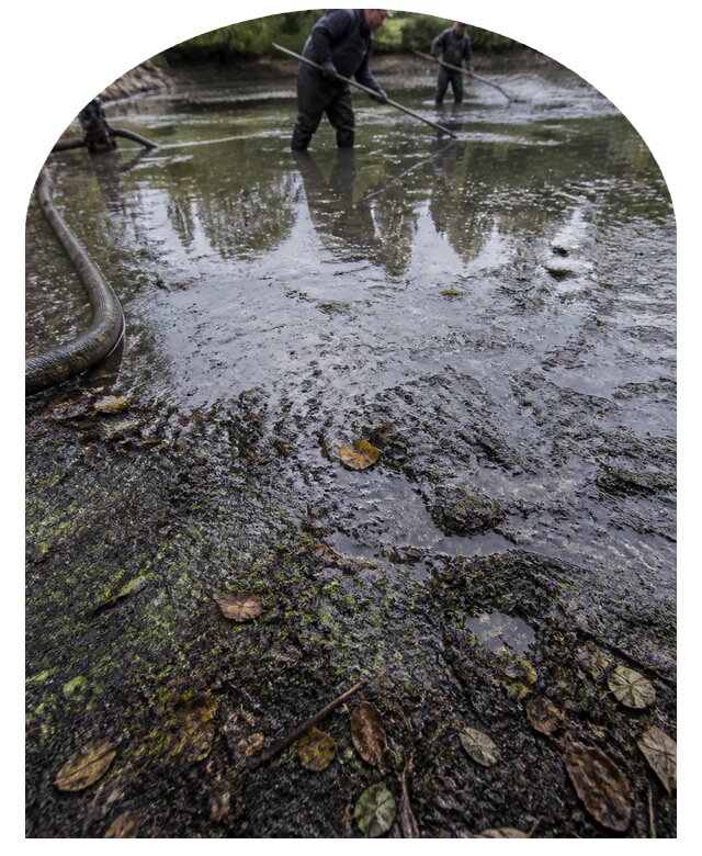 Очистка пруда в Кемерово от ила мусора и водорослей с вывозом